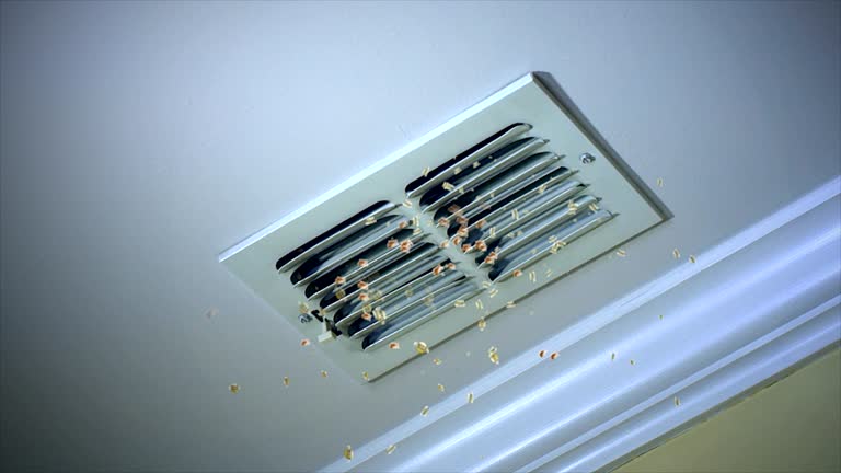 Best Home Air Vent Cleaning  in Seattle, WA
