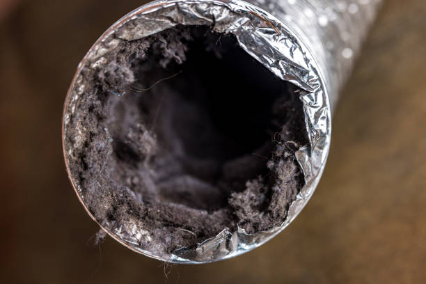 Best HVAC Maintenance and Cleaning  in Seattle, WA